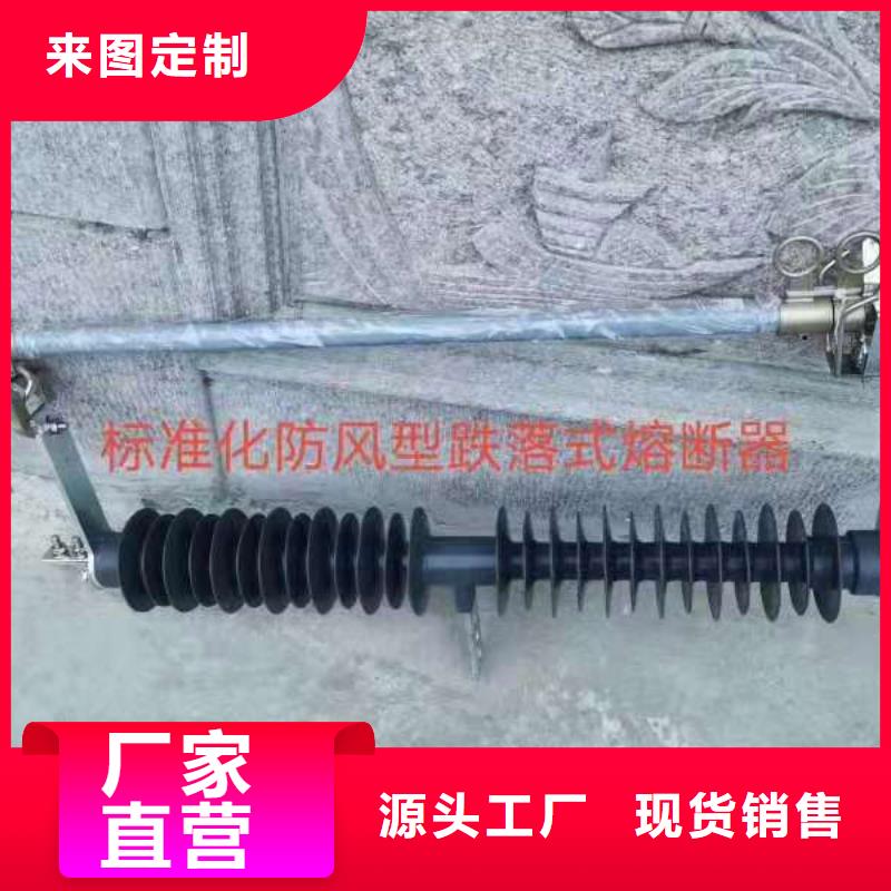 跌落式熔断器-XRNT-12KV熔断器极速发货
