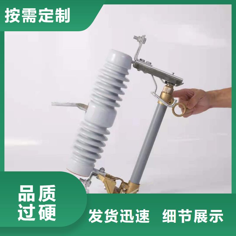 跌落式熔断器XRNT-12KV熔断器定制批发