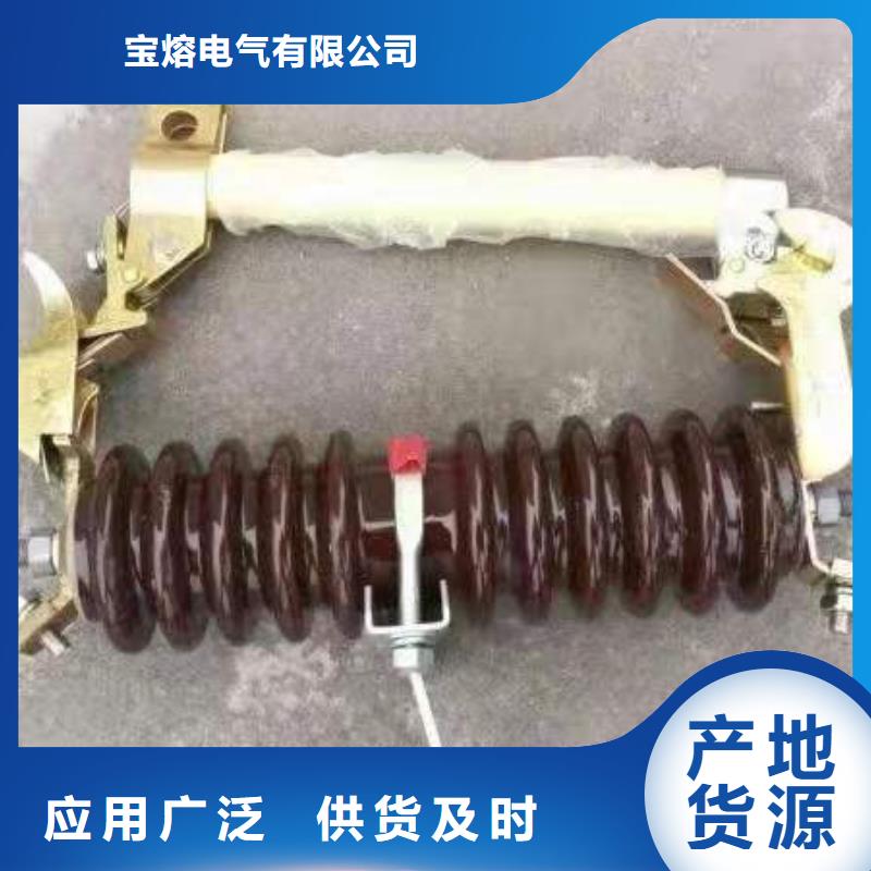 跌落式熔断器-XRNT-12KV熔断器极速发货