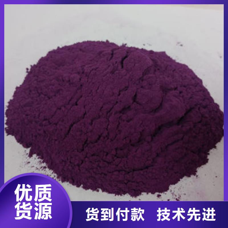 紫甘薯粉现货供应
