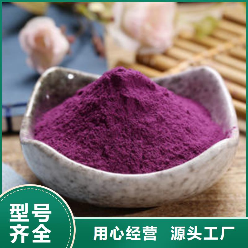 羽衣甘蓝粉视频-甘肃省羽衣甘蓝粉-该地可服务区域酒泉|天水|兰州|陇南|甘南|平凉