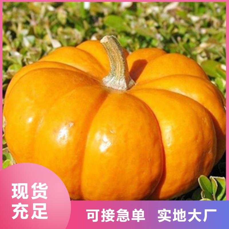 南瓜粒择优