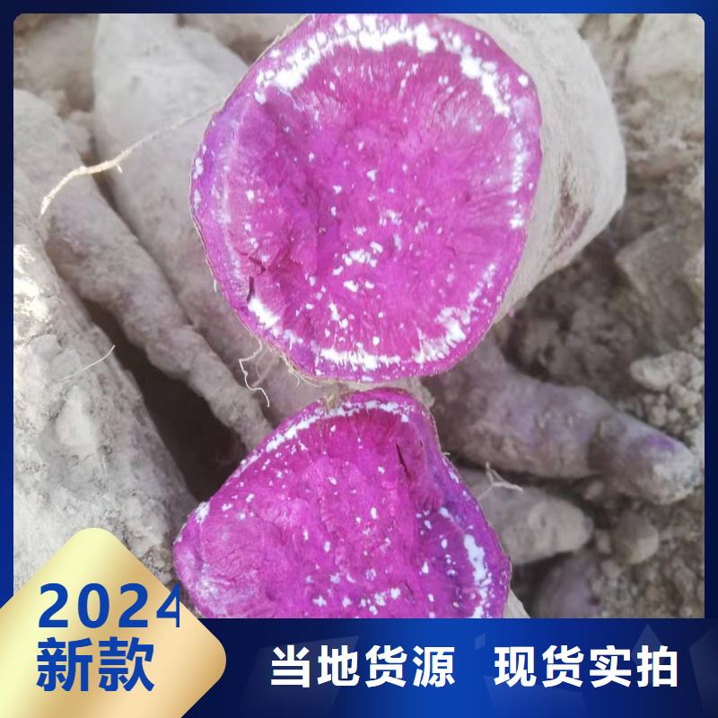 紫薯苗_紫薯雪花片为您精心挑选