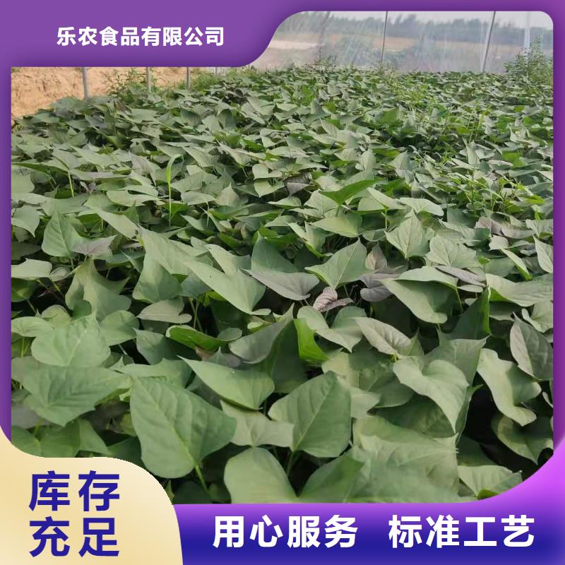 紫薯雪花片视频-四川省德阳市乐农紫薯雪花片可服务区域罗江|绵竹|内江|眉山|遂宁|广元等