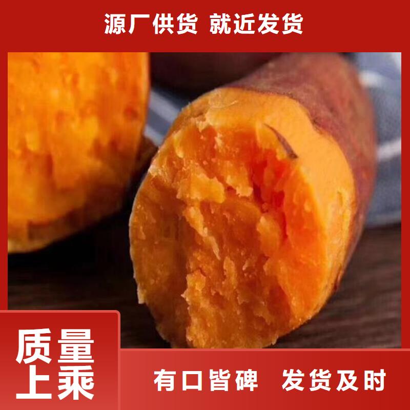 羽衣甘蓝粉视频-羽衣甘蓝粉|南宁市|宾阳|青秀|百色|贺州|河池|北海