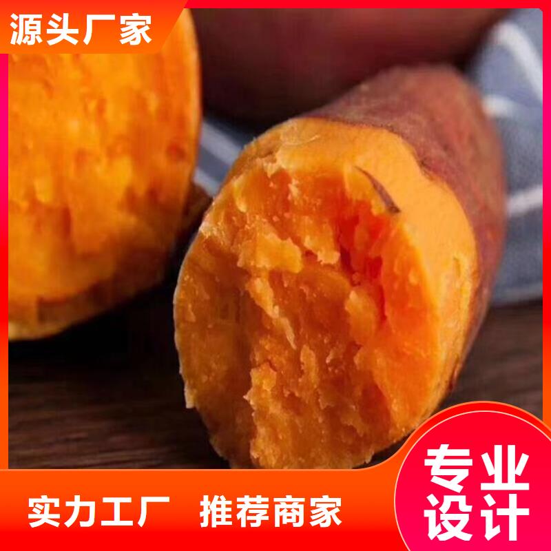 羽衣甘蓝粉视频-广西省梧州市乐农羽衣甘蓝粉可服务区域蒙山|蝶山|崇左|来宾|钦州|防城港|柳州|桂林等