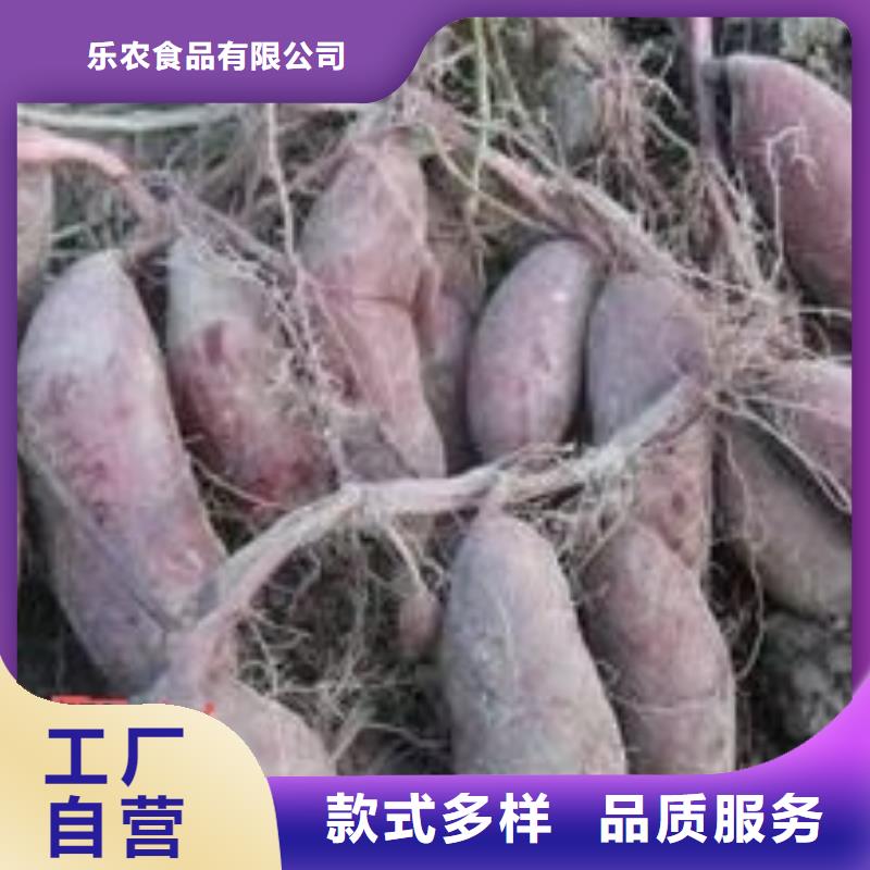 羽衣甘蓝粉视频-广西省梧州市乐农羽衣甘蓝粉可服务区域蒙山|蝶山|崇左|来宾|钦州|防城港|柳州|桂林等