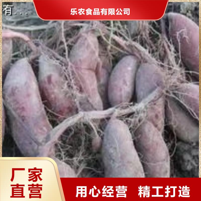 紫薯雪花片视频-四川省德阳市乐农紫薯雪花片可服务区域罗江|绵竹|内江|眉山|遂宁|广元等