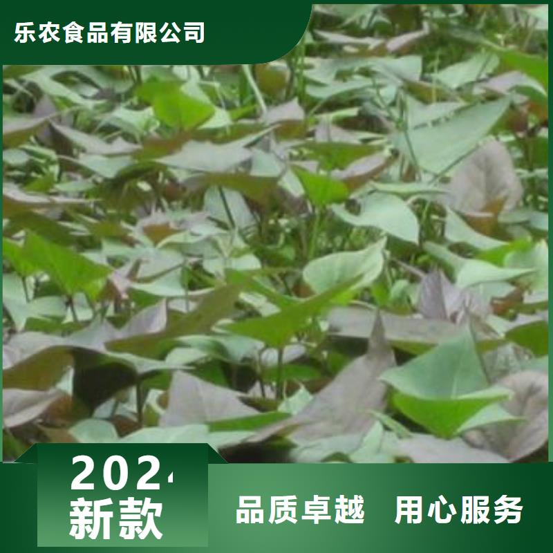 紫薯雪花片视频-四川省德阳市乐农紫薯雪花片可服务区域罗江|绵竹|内江|眉山|遂宁|广元等