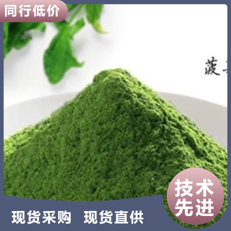 脱水菠菜粉供应商