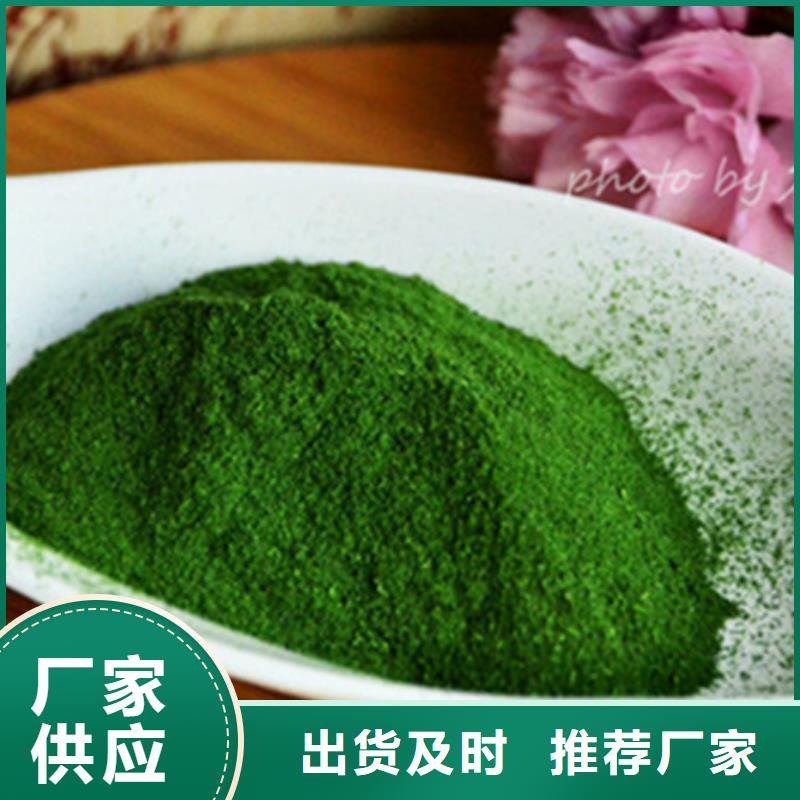 2025欢迎访问##菠菜粉##实体厂家