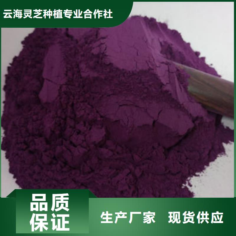 灵芝孢子粉价格视频-彭山|东坡|巴中|广元|德阳|甘孜|广安|凉山灵芝孢子粉价格厂家现货供应-云海灵芝种植专业社(眉山市分公司)