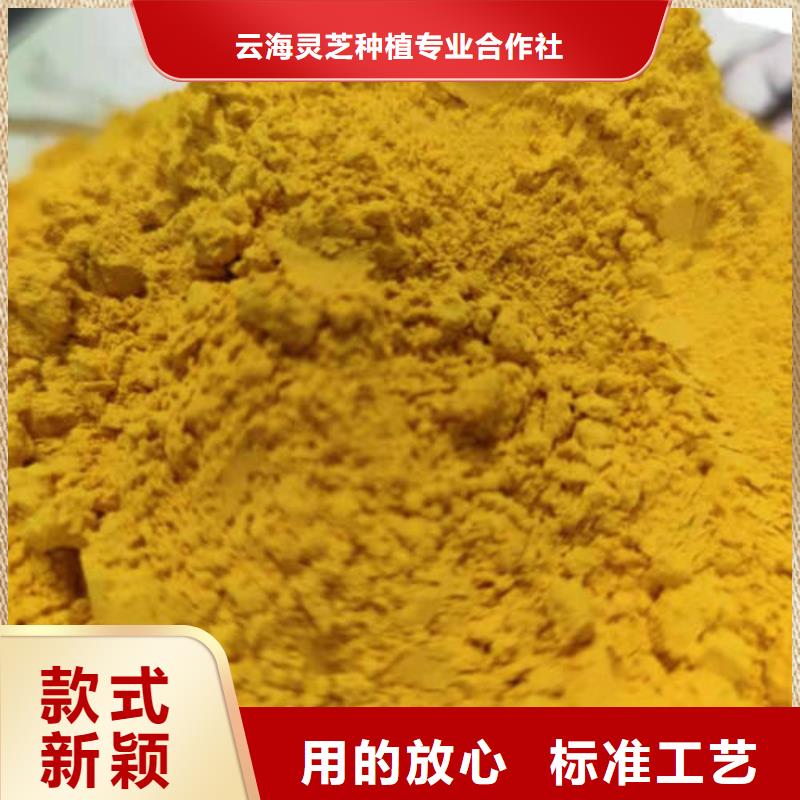南瓜粉灵芝粉源头工厂量大优惠
