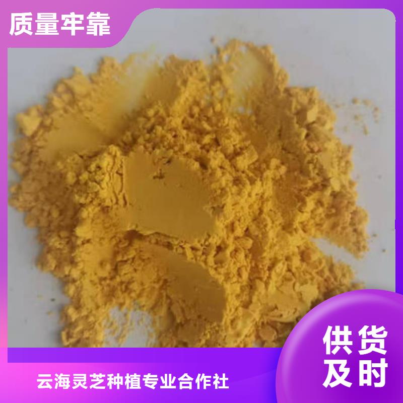 灵芝孢子粉价格视频-灵芝孢子粉价格|昆明市|呈贡|嵩明|德宏|临沧|昭通|普洱|丽江|西双版纳|怒江