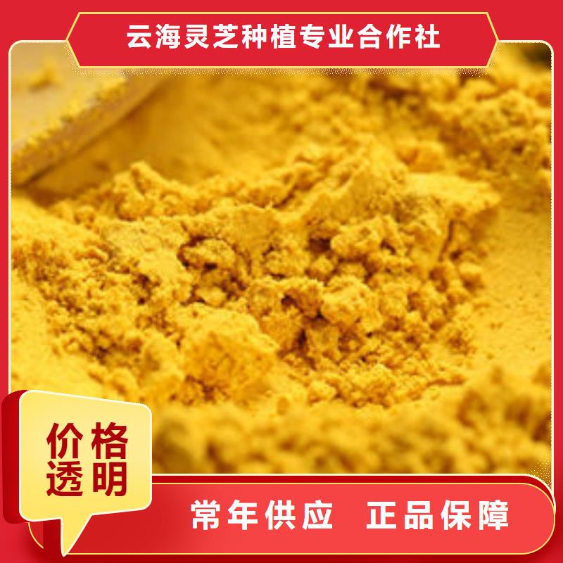 南瓜粉有机栎木赤灵芝海量现货直销