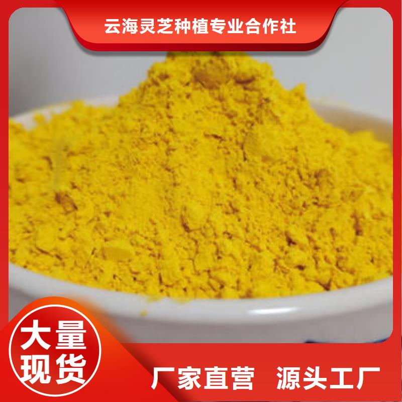 南瓜粉灵芝盆景服务至上