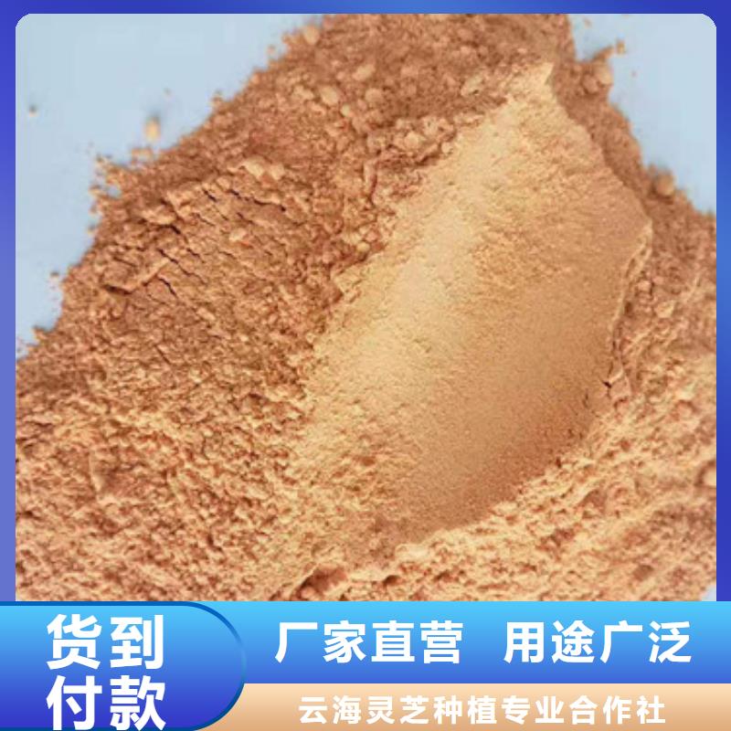胡萝卜粉-野生菌灵芝支持定制加工