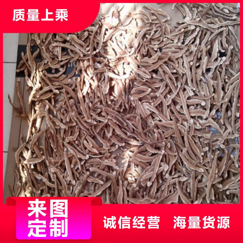 泡茶灵芝款式多样