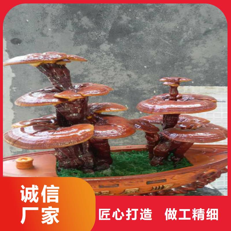 灵芝粉供应商