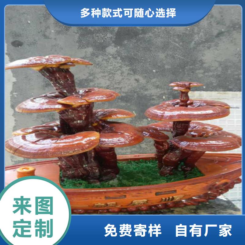 灵芝粉经验丰富