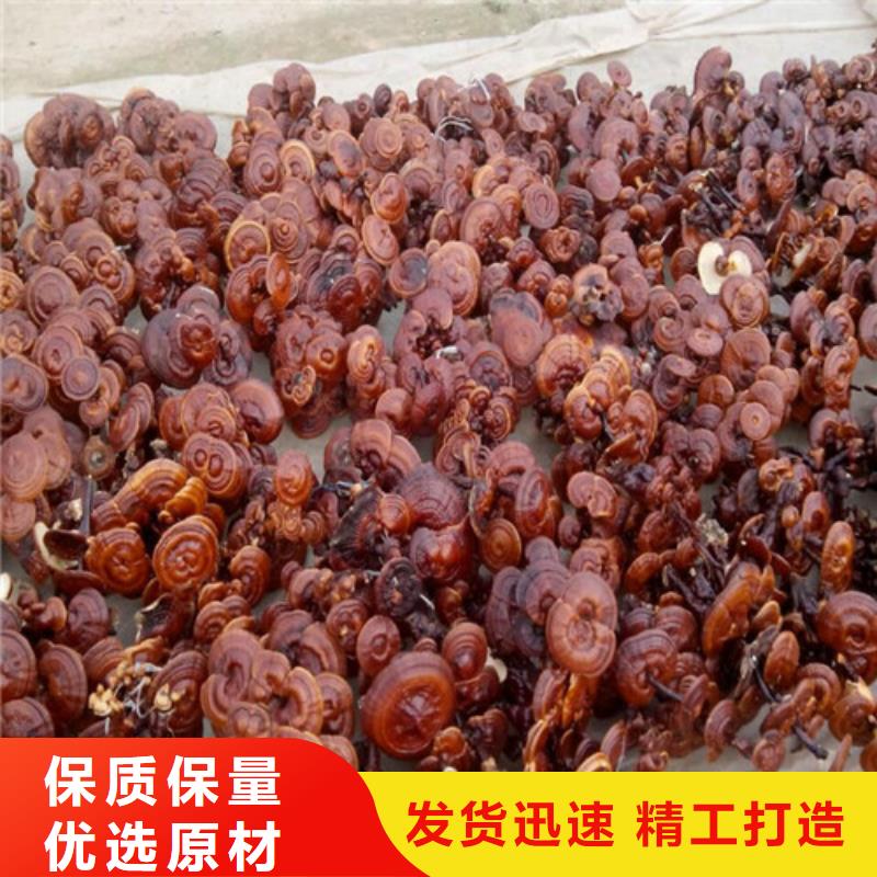 
孢子灵芝产品齐全