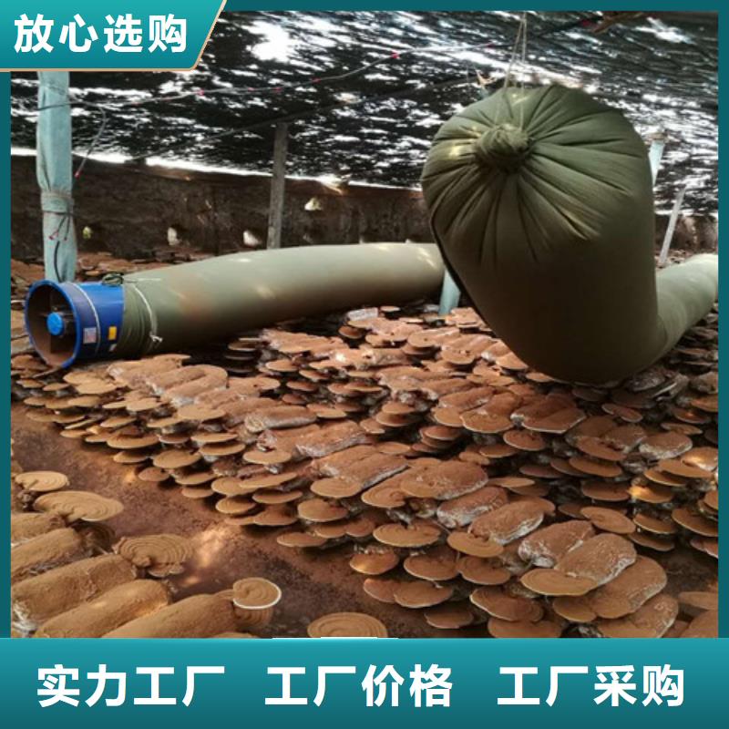 灵芝孢子粉价格视频-灵芝孢子粉价格(云海)覆盖地域新疆乌鲁木齐市克拉玛依|伊犁