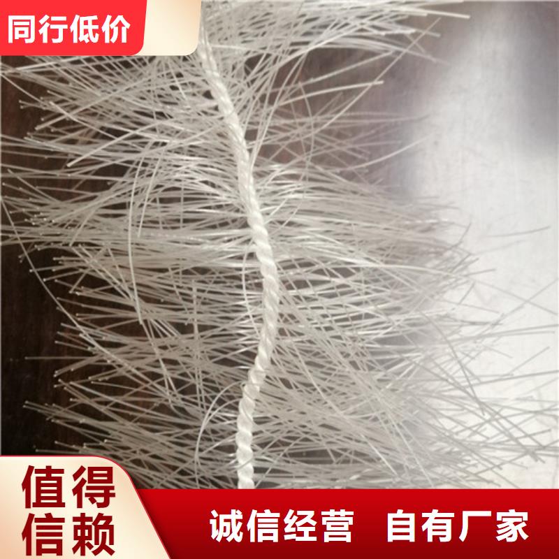 【 弹性填料,蜂窝斜管今日新品】-明阳净水(梧州市分公司)|覆盖地域苍梧|蝶山|北海|柳州|贺州|南宁|来宾|河池