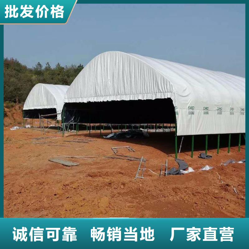 县大棚钢管厂 厂家报价