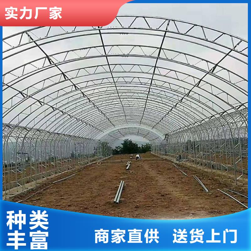 镀锌连体大棚管良心厂家