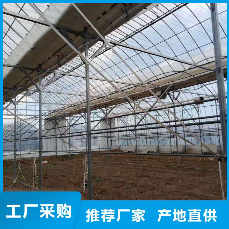 【大棚管】农业养殖大棚管供货及时