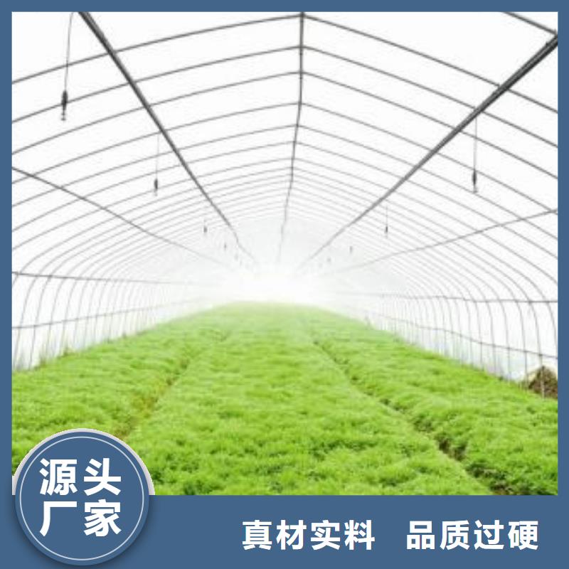 县大棚钢管厂制造厂家
