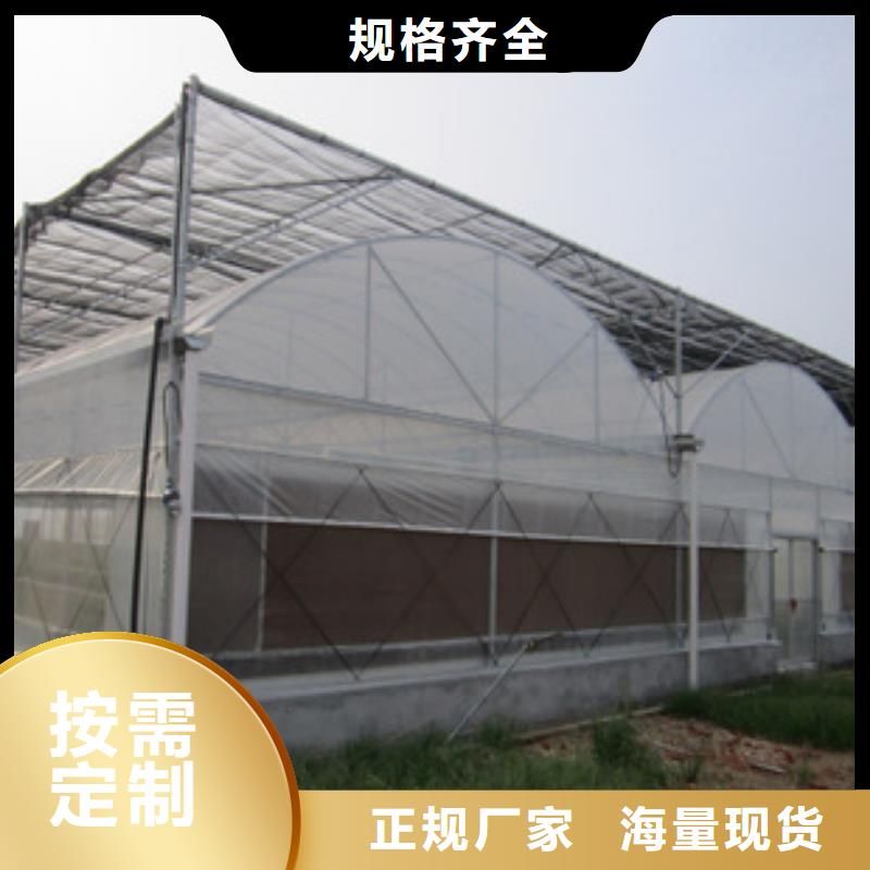 惠民连栋塑料薄膜大棚管介绍团队