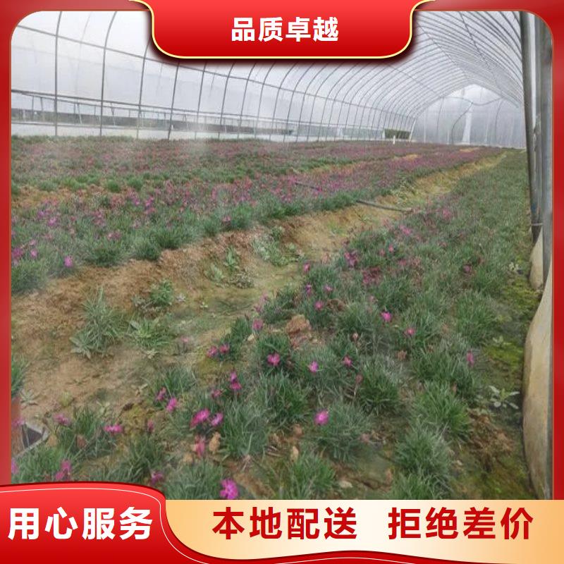 大棚管2,方矩管应用广泛