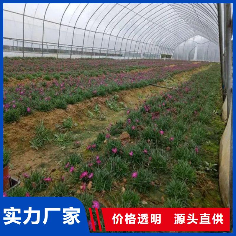 大棚管2_蔬菜温室大棚管产品实拍