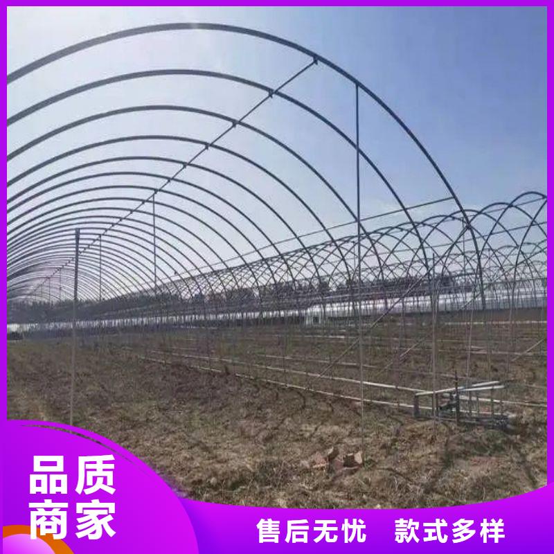 大棚管2连栋大棚管源头厂家经验丰富