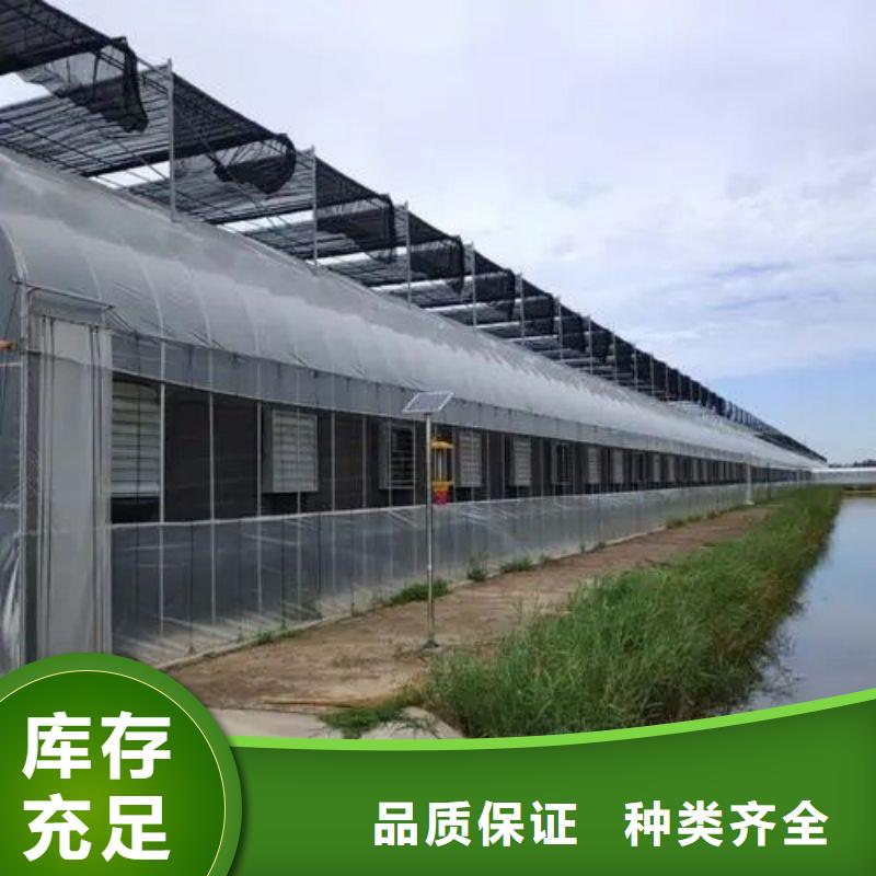 龙子湖区棉被大棚正规厂家