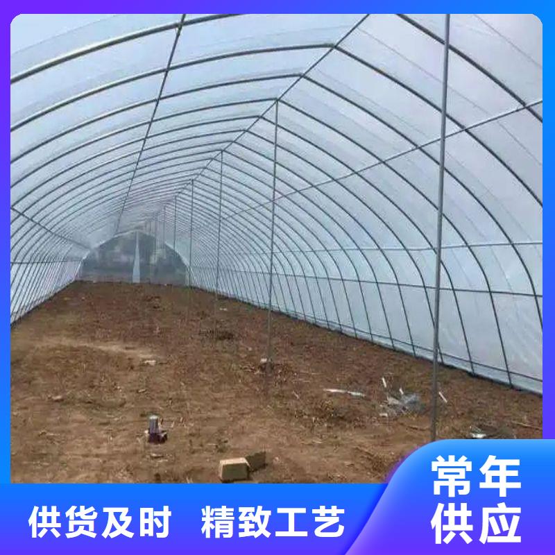 【大棚管2方矩管专注细节专注品质】