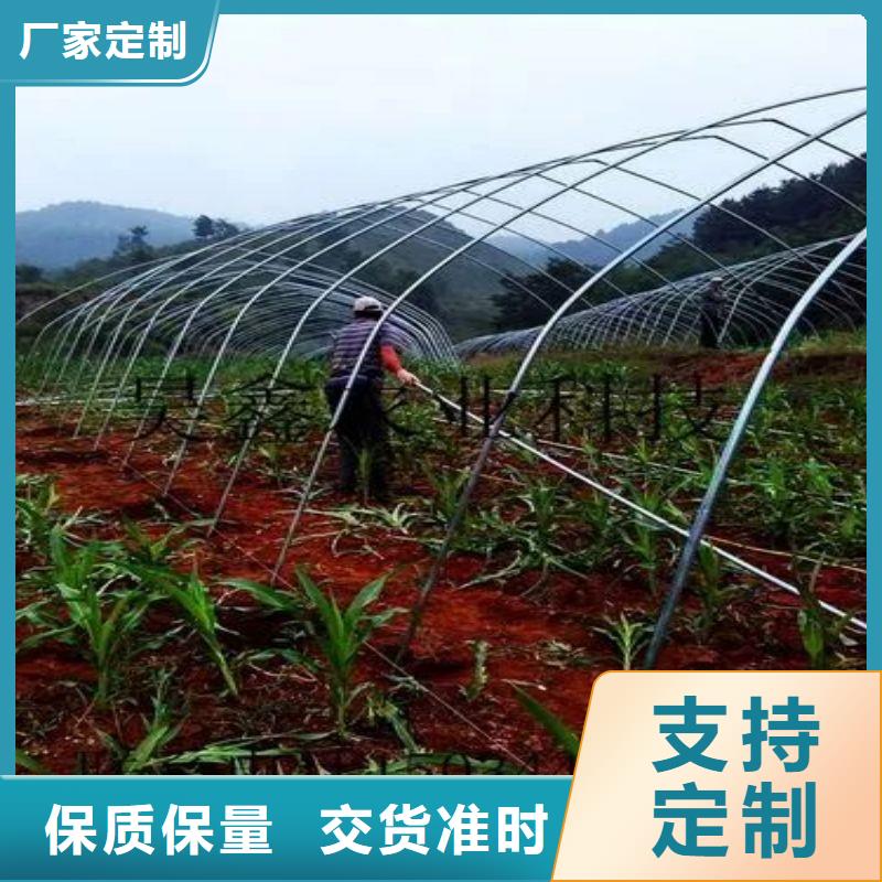 连体大棚配件在线咨询