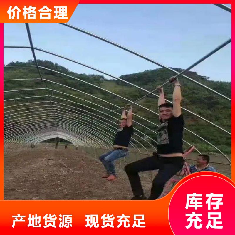 大棚管2
大棚管厂家品质值得信赖-服务区域包括阳西|阳春|佛山|湛江|河源|中山|汕头|揭阳|潮州等-产品视频