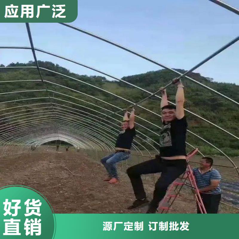 大棚管2镀锌大棚管货源直供
