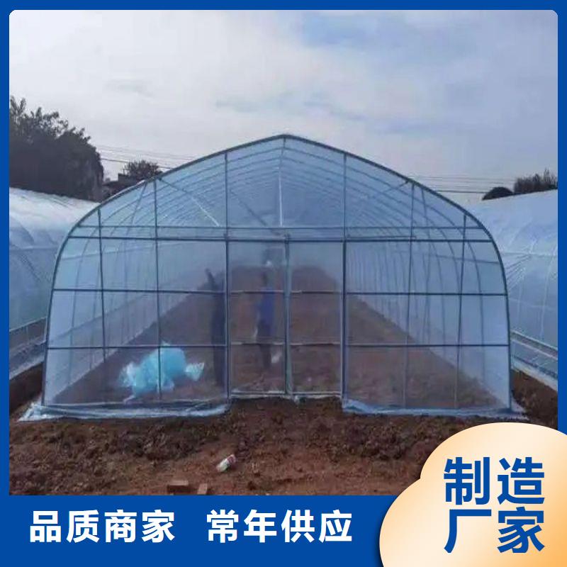 大棚管2大棚管源头厂家直销