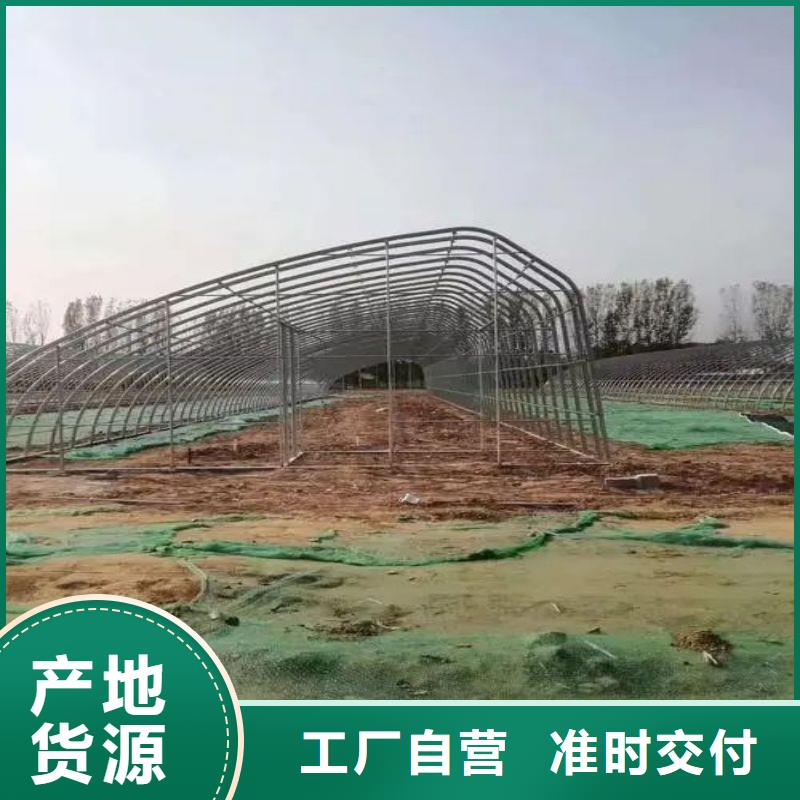 大棚管2,【日光温室大棚】用心细节