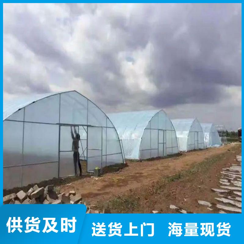 大棚管2,日光温室大棚重信誉厂家