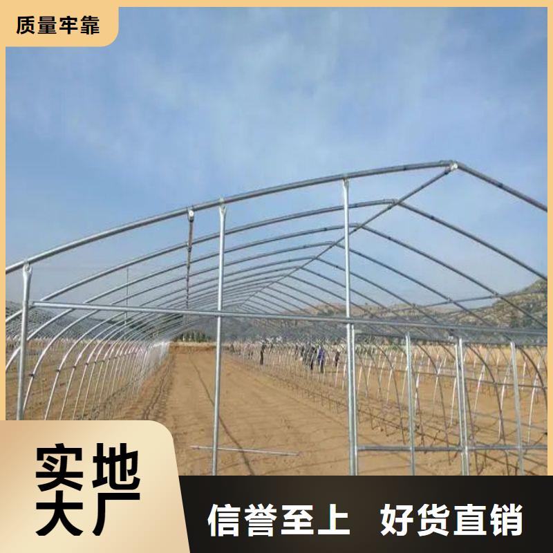龙子湖区棉被大棚正规厂家