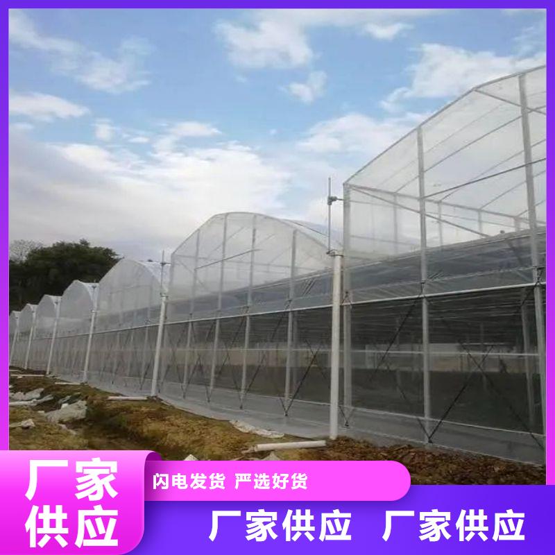 【大棚管2】连栋大棚管支持非标定制