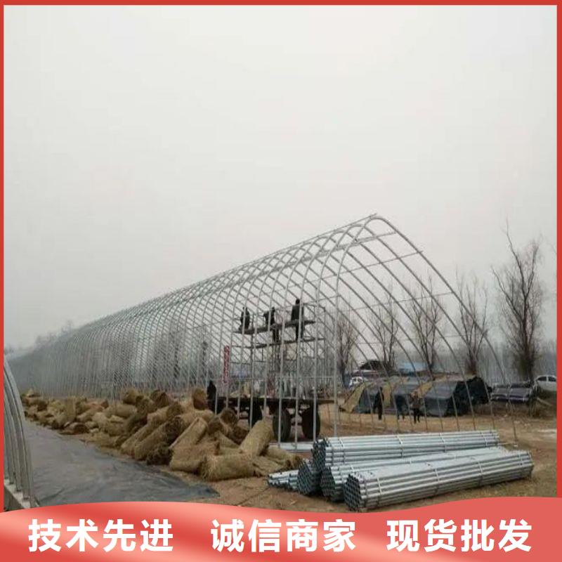 大棚管2 大棚管一致好评产品