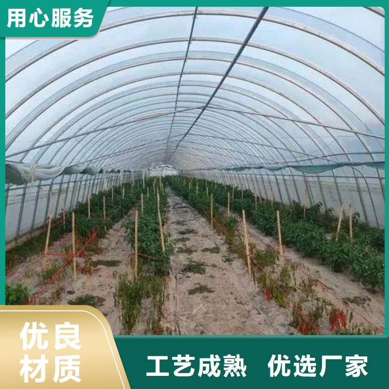大棚管2温室大棚现货满足大量采购