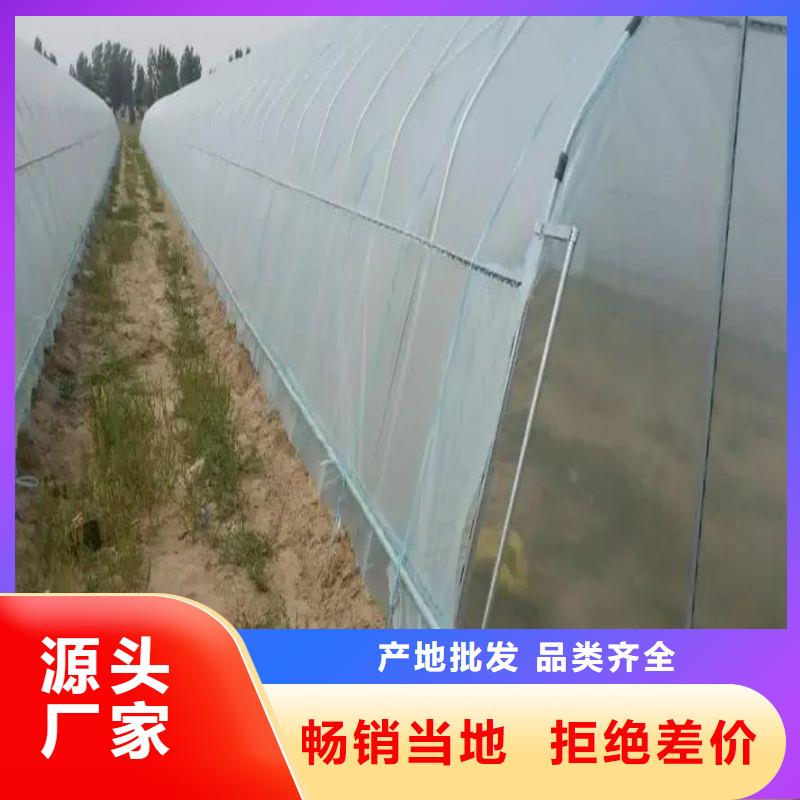 大棚管2_【温室大棚管】今年新款