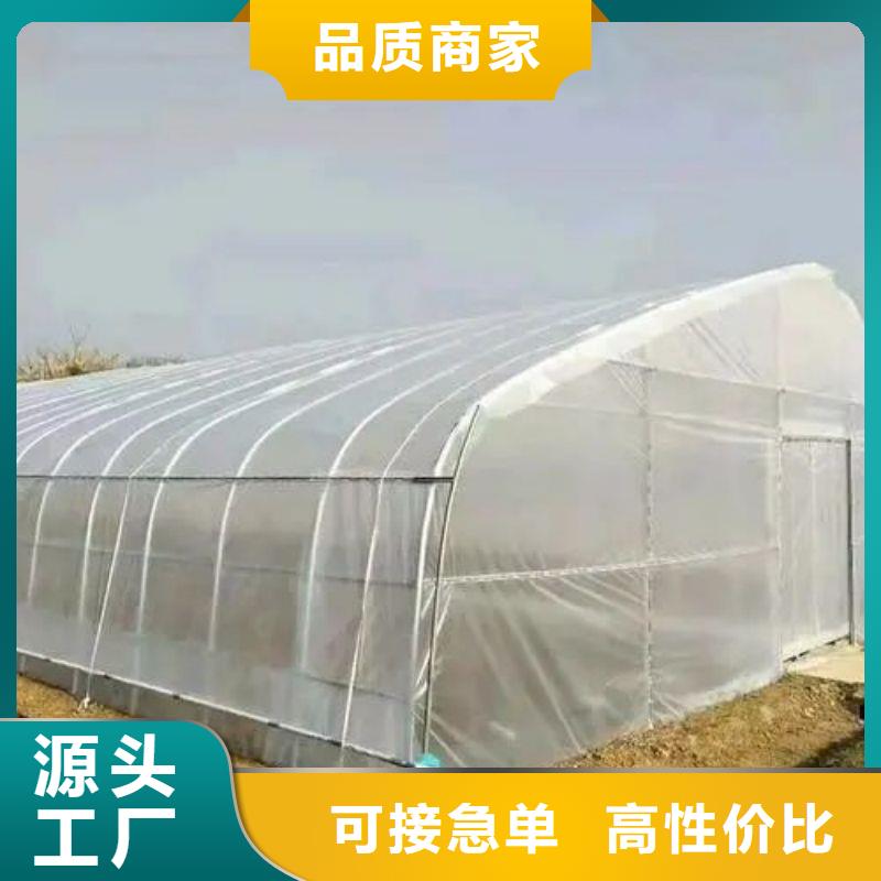 龙子湖区棉被大棚正规厂家