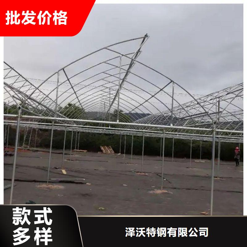 大棚管2连体大棚常年供应